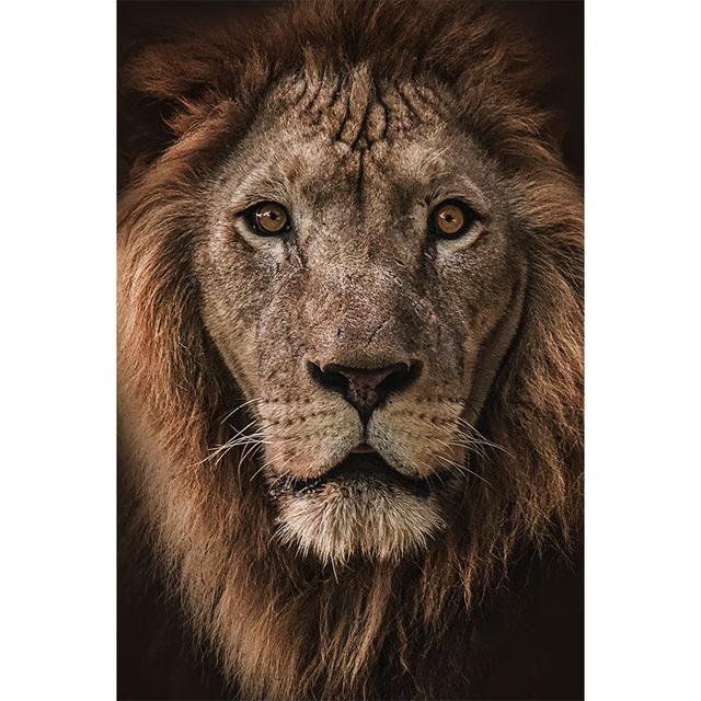 Black White Animals Art Lions Oil Painting Canvas Art Posters and Prints Wall Pictures for Living Room Home Wall Decor