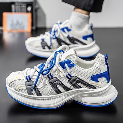Chaussures pour hommes populaires célébrités Internet 2025 nouvelle été maille respirante décontractées semelle épaisse rehaussantes jeunesse sport dad shoes