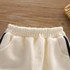 Boys' Embroidered Autumn Two-Piece Sportswear Set - 2025 New Style