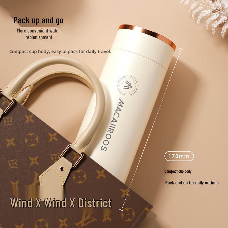 Mycaro Tea Infuser Vacuum Insulated Bottle