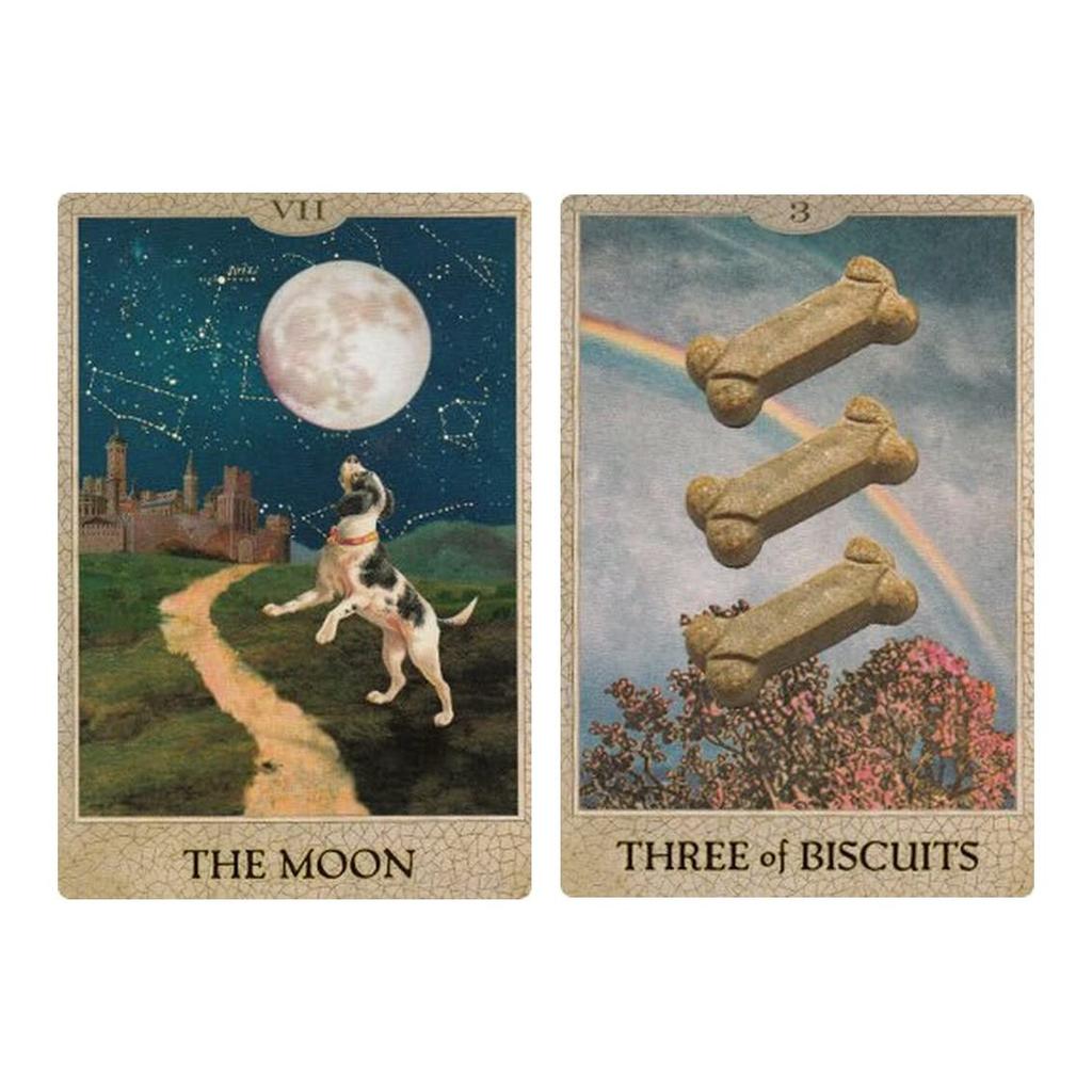 Kancharo Tarot Cards 30 Pieces Tarot Fortune Telling Original Dog Japanese Tarot Cards Basic Instructions Pouch Included [The Tarot] & (Genuine