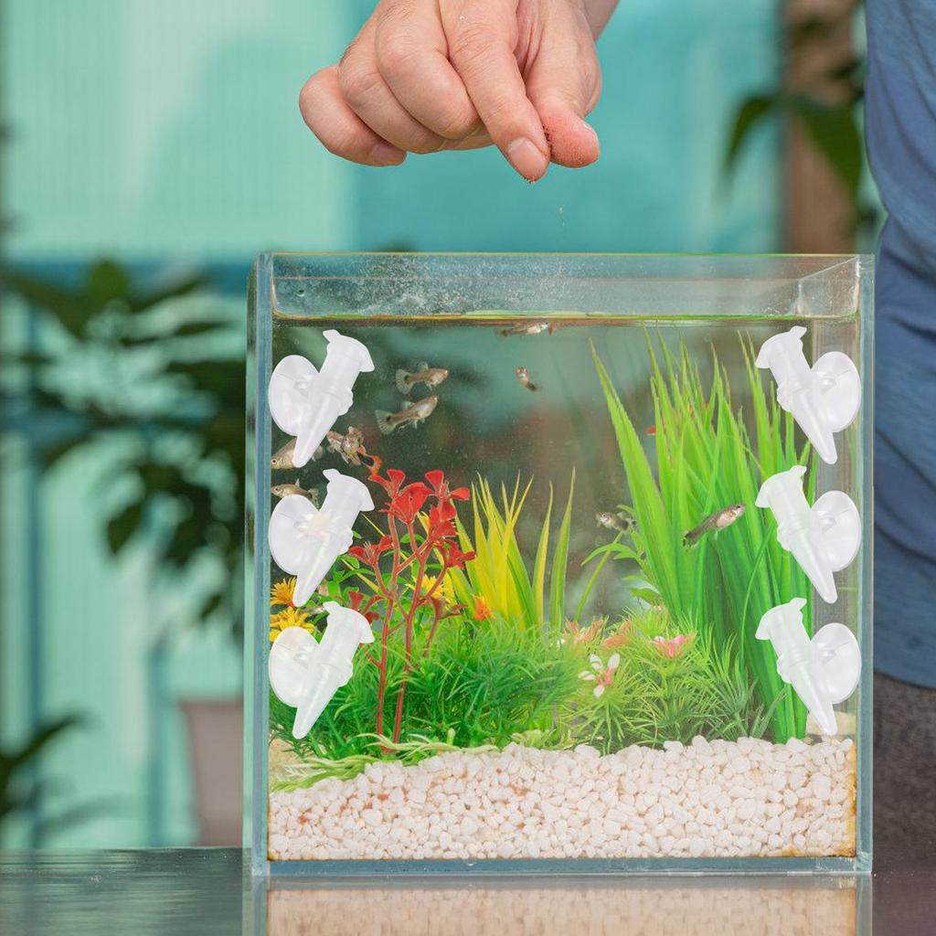 Pack of 6 Reusable Shrimp Feeders with Suction Cup Designs for Fishtanks To Prevent Food Scattering and Waste