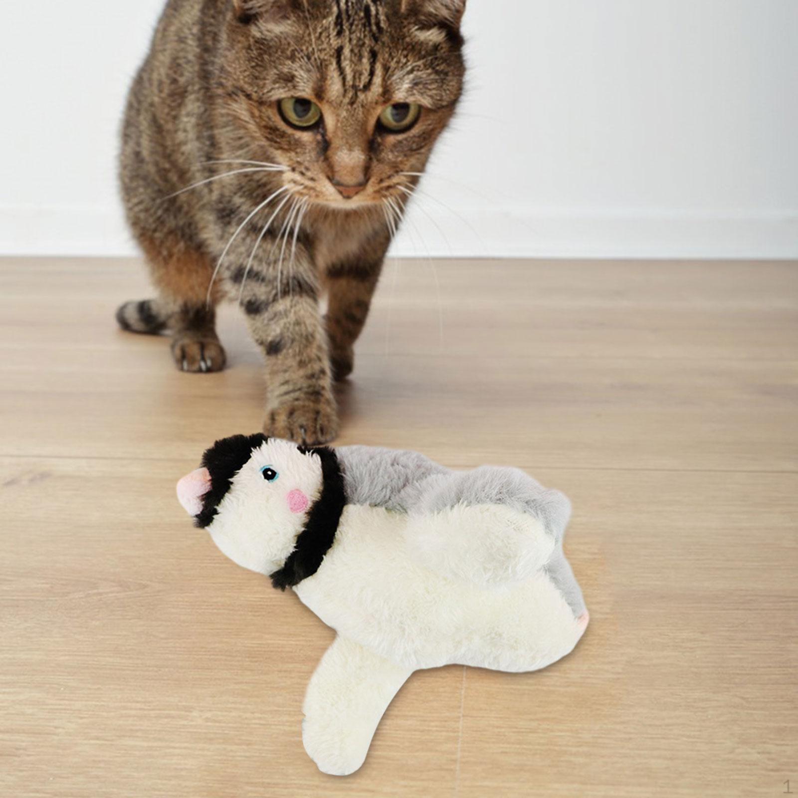 

Игрушки для кошек, хлопающая игрушка-кошка, пищащая кошачья мята, щебетание для котят, упражнения, развлечения