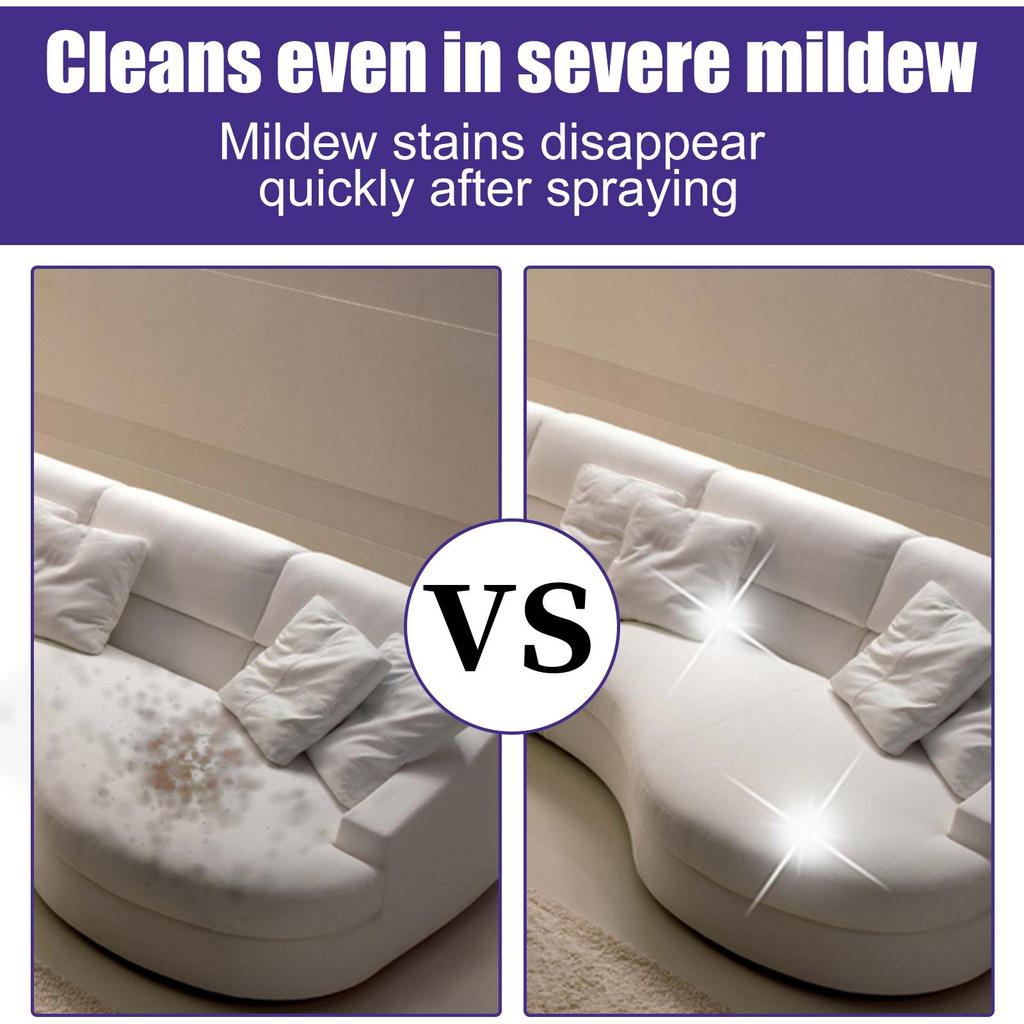 RAYHONG Odstraňovač plísní do auta vnitřní stropnice látka kožené sedadlo plíseň plíseň odstraňovač skvrn a udržovací prostředek