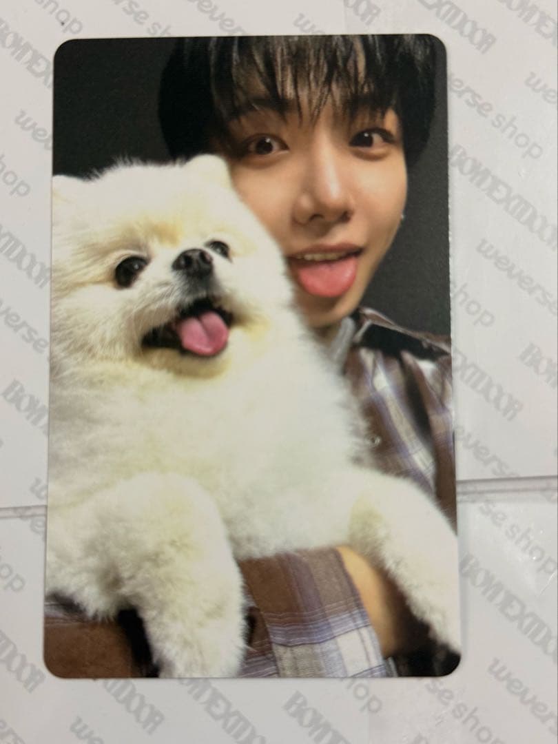 [USED] Jaehyun Changyi BOYNEXTDOOR Global Korea Bonus Photocard