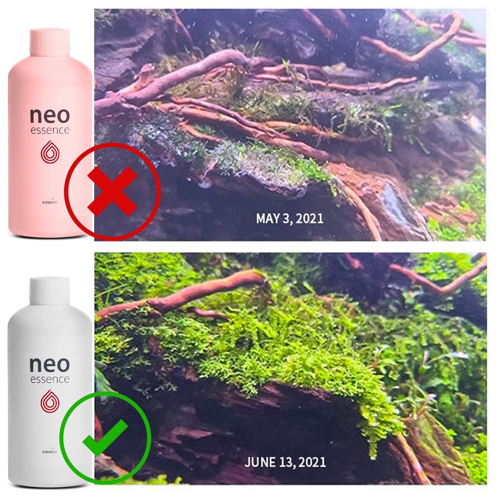 Neo Essence 1000ml - Plant Growth and Coloring