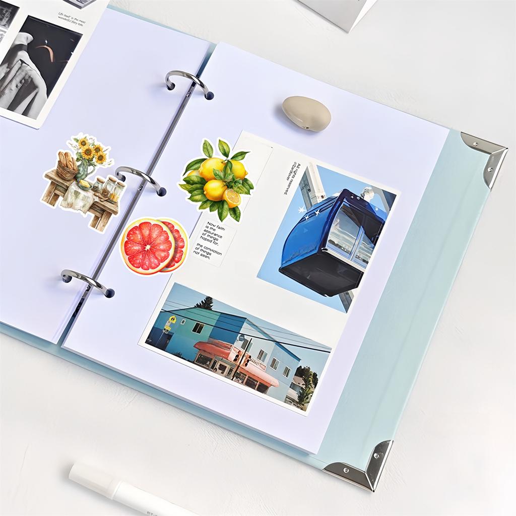 20pcs tropical fruit stickers for DIY journals, planners, laptop decorations, book , planner , high-quality prints  journal