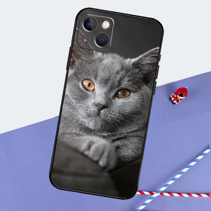 Beautiful Grey British Shorthair Cat Phone Case For iPhone 16 Pro Max 11 13 14 15 Pro Max 12 Mini XR 16 15 Plus 16e Back Cover