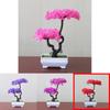 Indoor Decorative Plastic Bonsai Potted Plant For Home Decor
