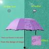 Dual Use Sun Umbrella UV Protection Folding Rain Umbrella Compact Women's Parasol  Rain