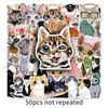 50 pictures of cats - 221