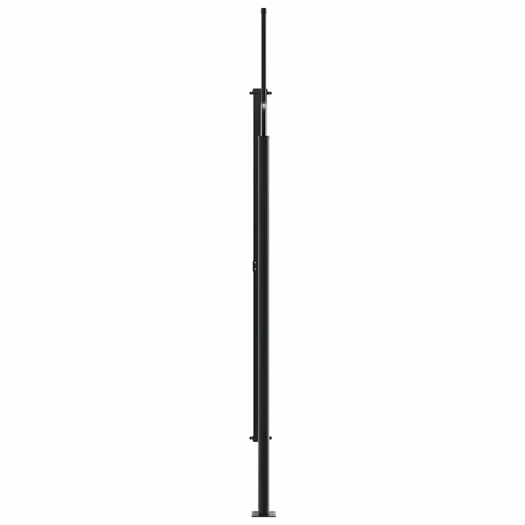 Retractable Side Awning Black 220 x 300 cm