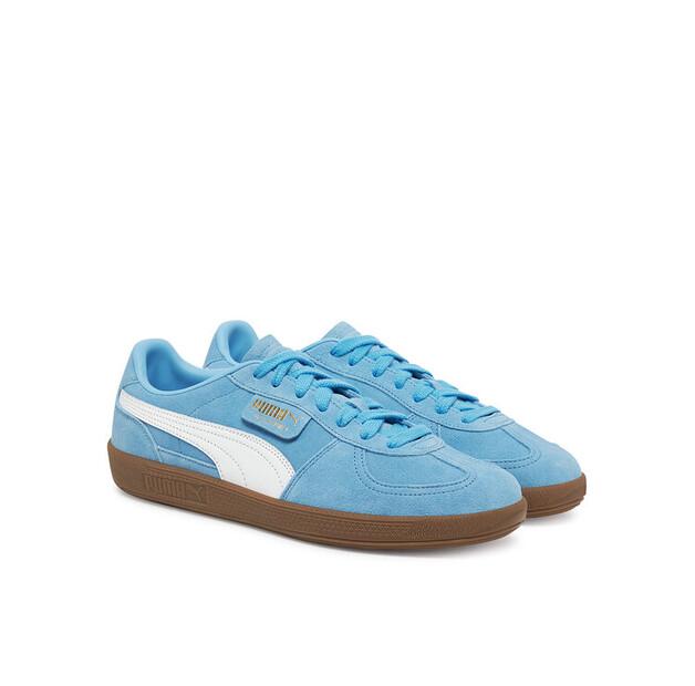 Мужские кроссовки Puma Palermo team 396463 44 синий