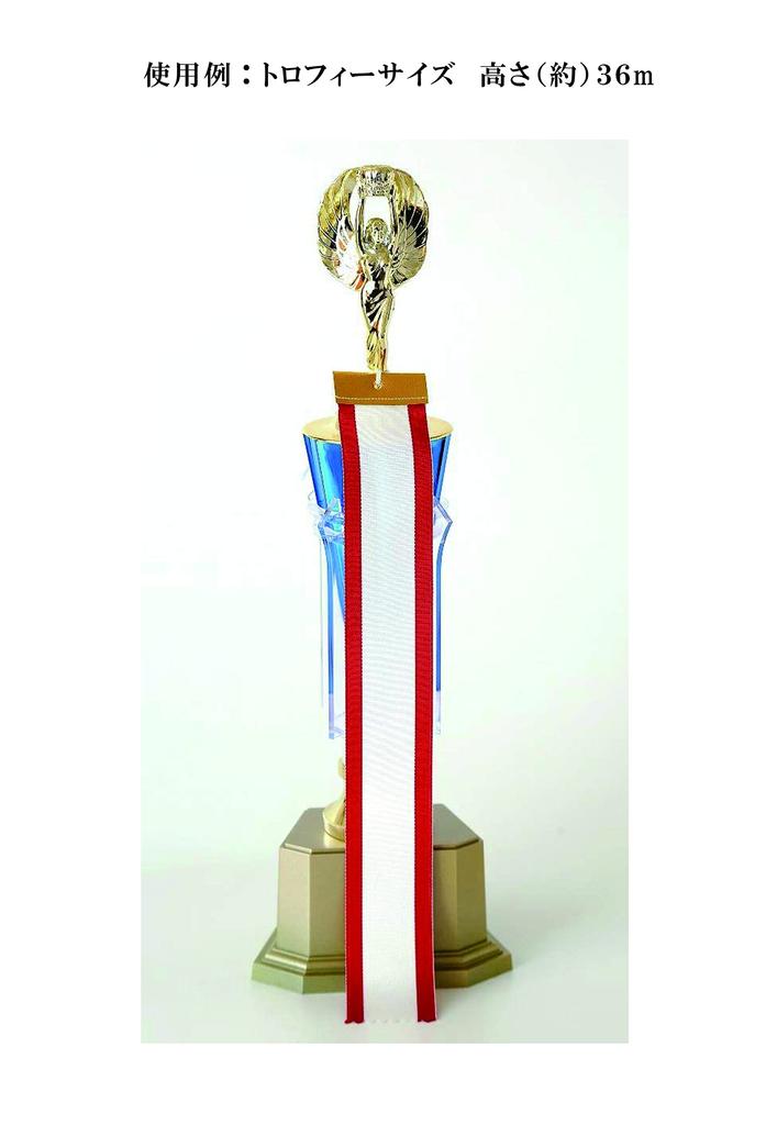 Red Selvedge Pennant Ribbon 3.8cm X 30cm with Smudge-Resistant Pen Included. Trophy Cup, Winner, Excellence, Golf Award, Celebration, Ceremony (20)