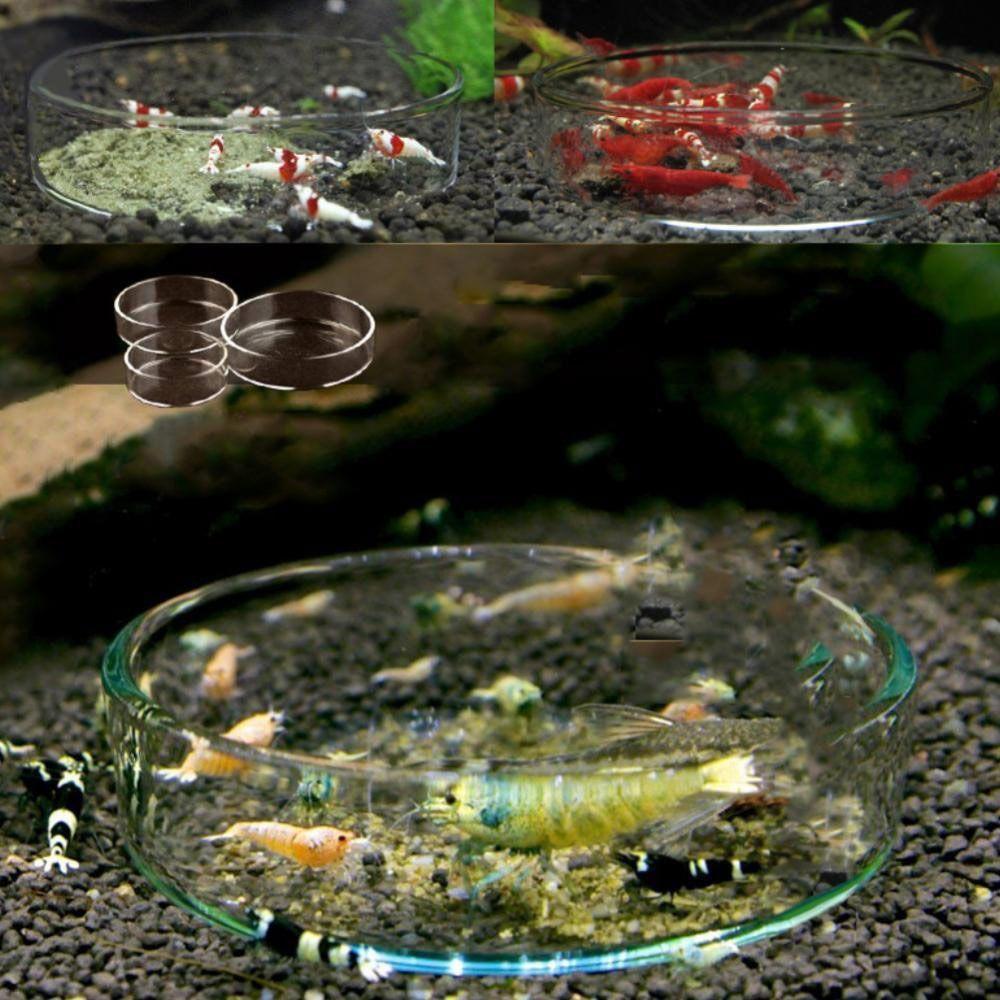 Acrylic Aquarium Feeder with Suction Cup Universal Aerial Feeding Bowl Transparent Fish Shrimp Feeding Dish