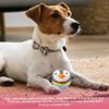 Dog Stuffed Toys Teething Enrichment Ball Stuffed Dog Chew Toys For Home Indoor Bedroom Outdoor Backyard Birthday Travel