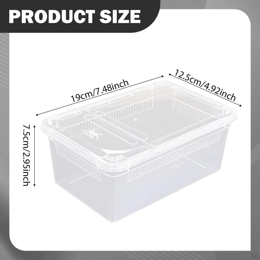 Reptile Feeding Box Breeding Critter Hatching Container Clear Terrarium Habitat Cage for Animal