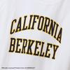 Champion Short Sleeve College Licensed Graphic UC Berkeley Made in Size L T-Shirt, 100% Cotton, 7oz, Print, T1011, Heavyweight, USA, C5-X304, Men's