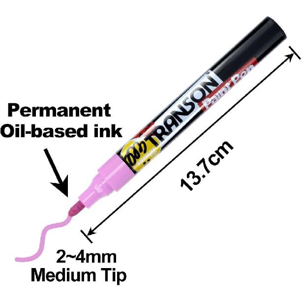 TRANSON 12 Colors Permanent Fabric Markers Oil Based Waterproof for Rocks Crafts Diy Painting Medium Tip