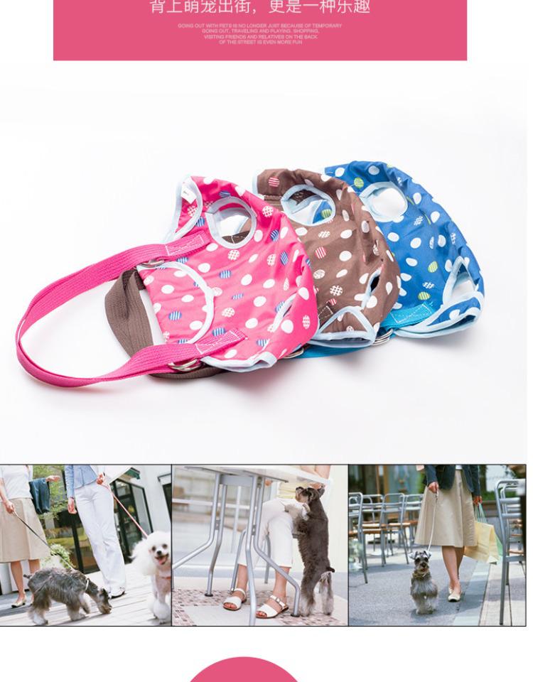 Teddy Dog Style Pet Travel Backpack: Four-Legged, Single Shoulder Crossbody Bag