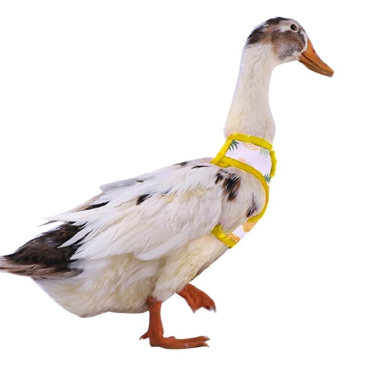 Rabbit Harness and Leash Small Animal Clothes for Rabbit Duck Small Animal