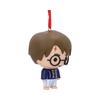 Harry Potter Hanging Ornament