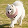 Inflatable Dog Collar Blow Up Dog Donut Collar Cone Collar Alternative After Surgery Pet Donut Collar for Large Medium Small Dogs Cats Post Surgery