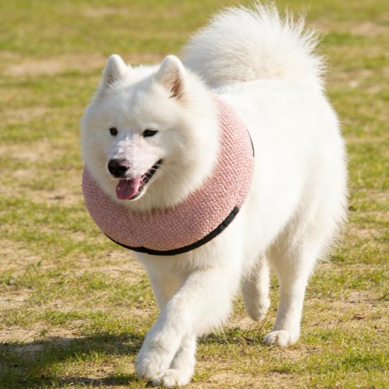 Inflatable Dog Collar Blow Up Dog Donut Collar Cone Collar Alternative After Surgery Pet Donut Collar for Large Medium Small Dogs Cats Post Surgery