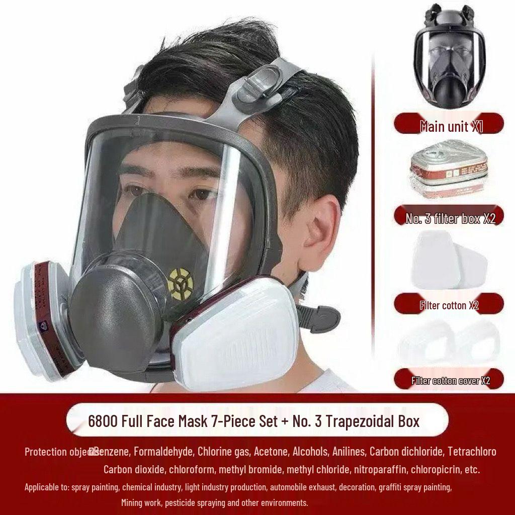 6800 Full Face Gas and Dust Mask for Spray Painting, Pesticide, and Chemical Protection
