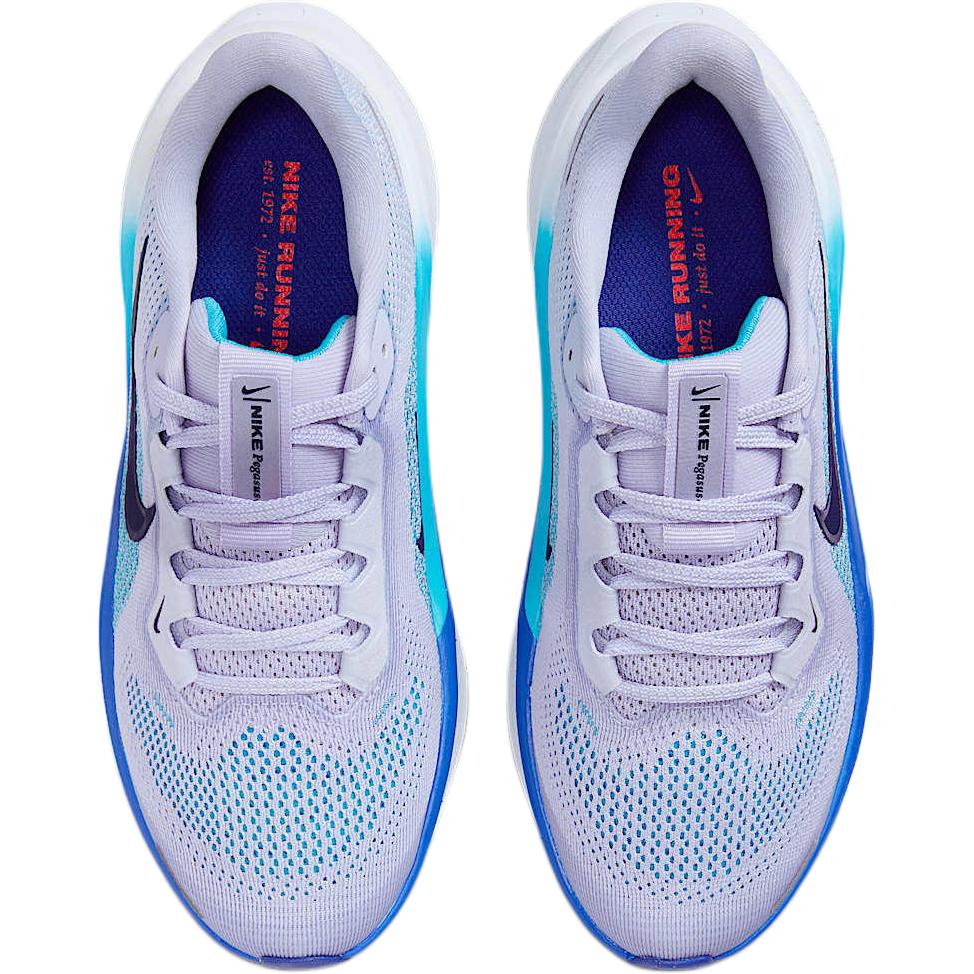Nike Air Zoom Pegasus 41 GS Ghost Blue Void Παιδικά Αθλητικά Παπούτσια Μωβ Football-Grey Deep-Night FN5041-004