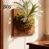 Easy Hang Plant Mount Staghorn Fern Mounting Kit Wooden Board Hanger Rustic Wall Decorative Planter for Ferns Orchids Air Plants Indoor Outdoor Decor