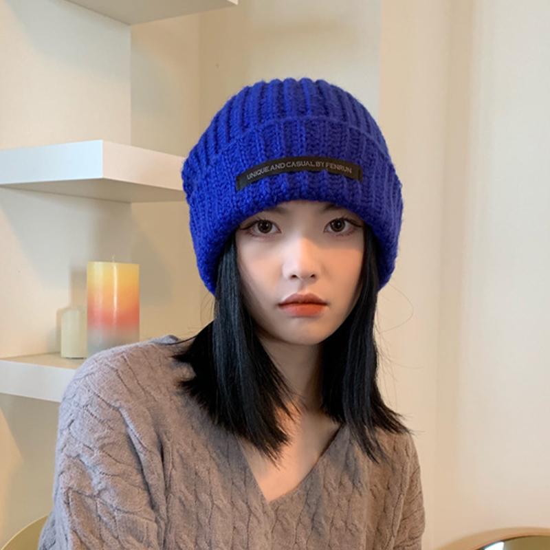 2025 Autumn And Winter Style Pile Hat Warm Knitted Hat Cold-Proof Knitted Wool Hat as the picture