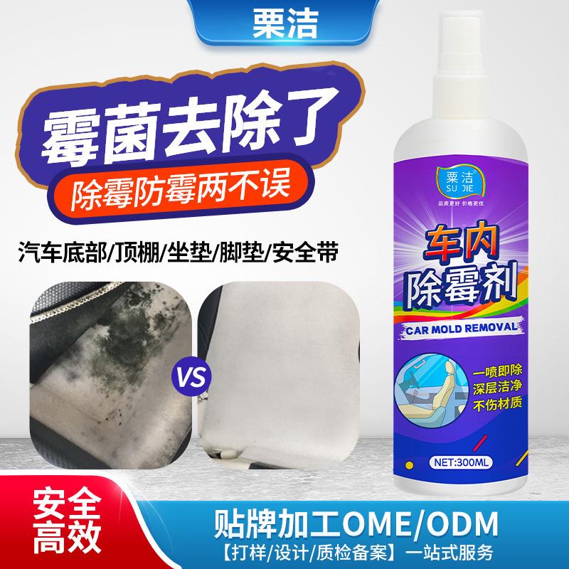 Car Mold Removal Spray 300ml Interior Cleaner for Mold Mildew Stains on Car Roof Upholstery Seats and Other Surfaces