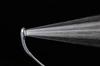 SANEI Shower Head Rainy Metallic Black Approximately Water Saving Effect with Stop Function 50% PS-303-81XA-CD