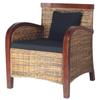Day and Night - Day and Night Handwoven Rattan Armchair
