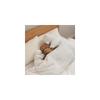 Ribuheart Soine Bear Hugging Pillow 43cm Cute Plush Toy for Sleeping