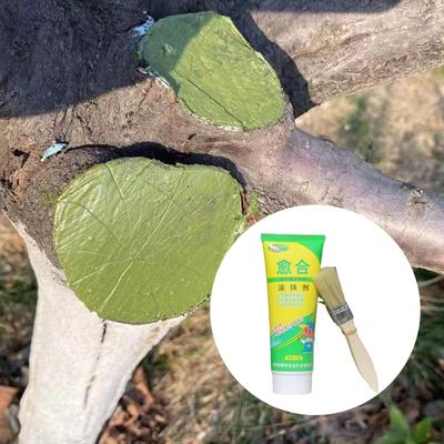 Tree Pruning Sealer Dressing with Brush,500G,Easy To Use Quick Recovery Protective Seal Cutting