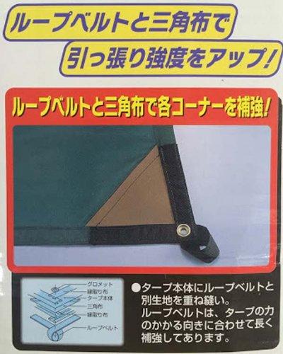 Captain Stag Planar Hexa Tarp M-3155