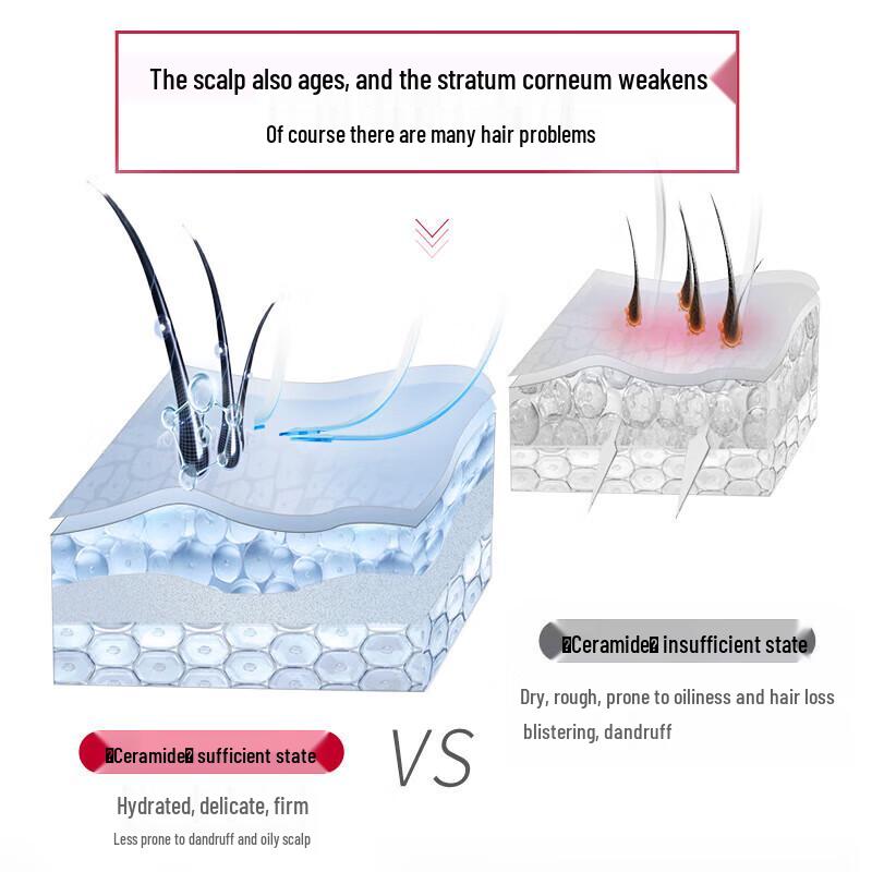 Sleek PRO Amino Acid Smooth Dandruff Removal Shampoo