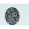 49Cts. Natural Black Fossil Coral Oval Cabochon Loose Gemstone 29X40X04 MM B-338