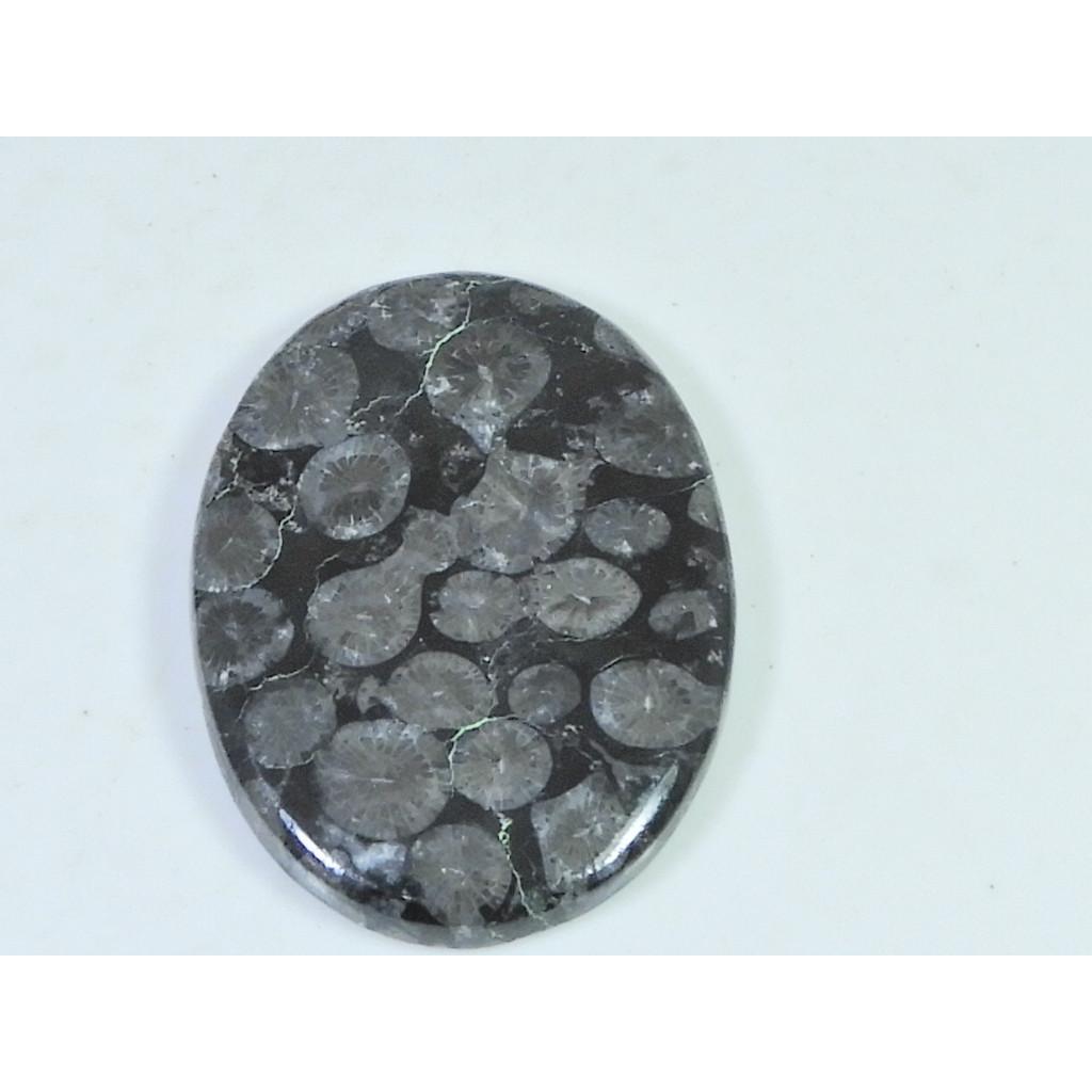 49Cts. Natural Black Fossil Coral Oval Cabochon Loose Gemstone 29X40X04 MM B-338