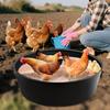 25 Inch Chicken Dust Bath Tub Plastic Chicken Sand Bath Tub Adjustable Bottomless Chick Coop Cleaning Container Accessories