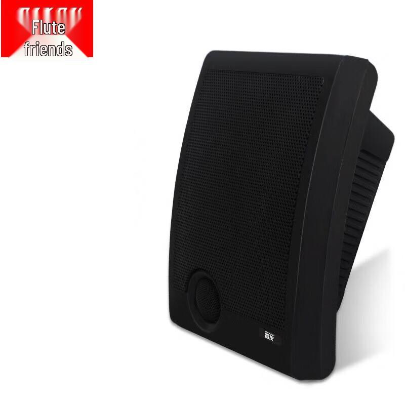 

Diyou Indoor Wall-Mounted Speaker CN plug (adapter included)