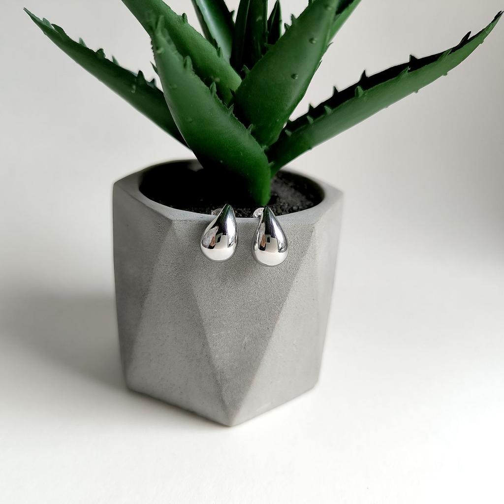Silver Earrings Without Stones (2161196)