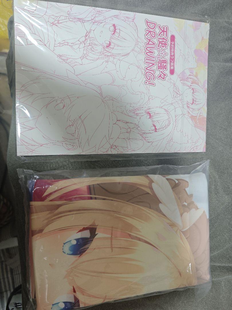 

[USED] Tenshi Sawa RE-BOOT! Tapestry Shirayuki Noa Pre-order Bonus Rough Art Collection Set