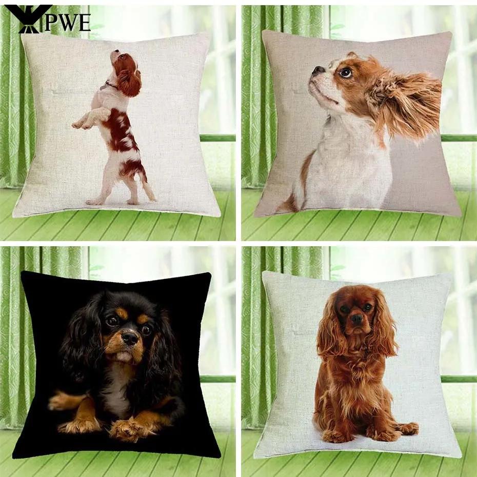 Cavalier King Charles Spaniel Bedrukte Serie Bank Creatieve Kussenhoes Eenvoudige Kussensloop Huisdecoratie Feest