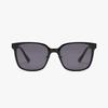 Sunglasses (FLS7468 BLACK 56)