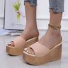 Candy Color Women's Wedge Slippers Summer New Fashion All-match Casual Platform High Heel Slippers for Women Outdoor Sandals