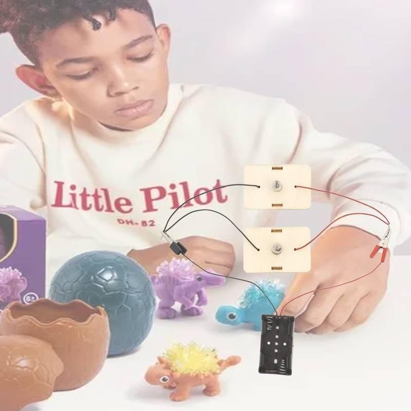 Nengen Smart Elementary School Student Handmade Diy Circuit Series Parallel Learning Toy Large Children's Technology Small Production Classroom Tool