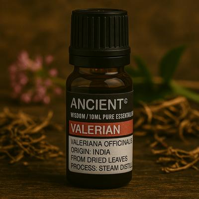 Valerian Root Essential Oil 10ml Aromatherapy